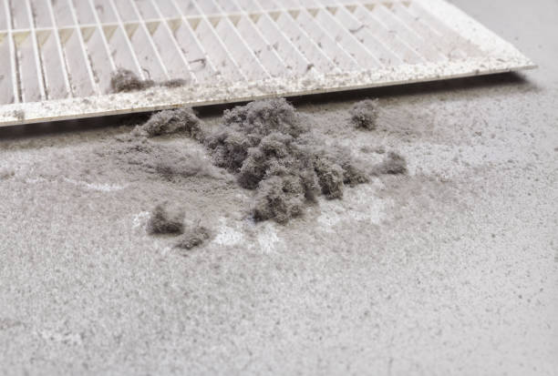 Best Best Air Duct Cleaning Company  in Pine Air, FL