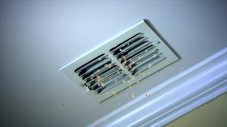 Best Ventilation Cleaning Services  in Pine Air, FL